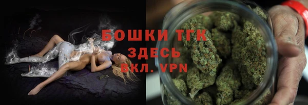 твердый Богданович