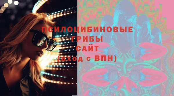 МДПВ Богородск