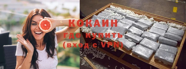твердый Богданович