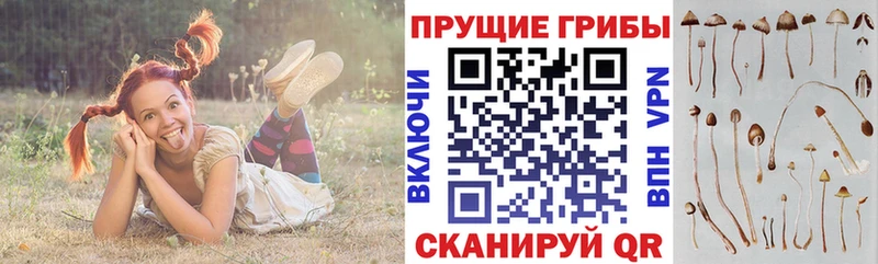 Галлюциногенные грибы мицелий  наркота  Минеральные Воды 